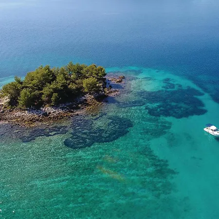 Lovely In With Wifi Vakantiehuis *