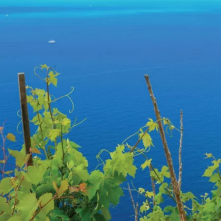 度假居 Lovely In With Wifi 奥瑞比克