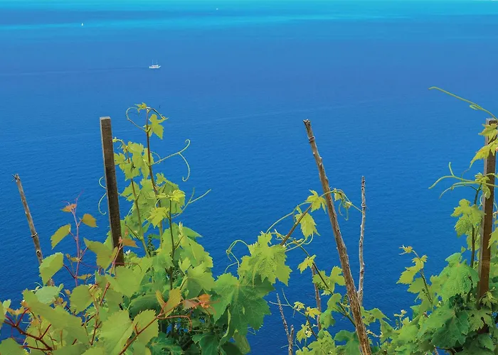 Prázdninový dům Lovely In With Wifi Orebić